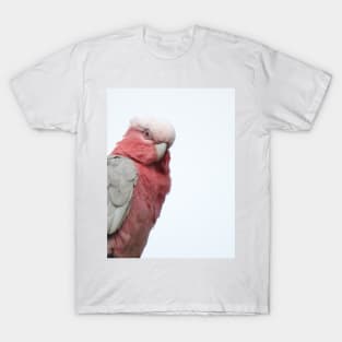 Galah T-Shirt